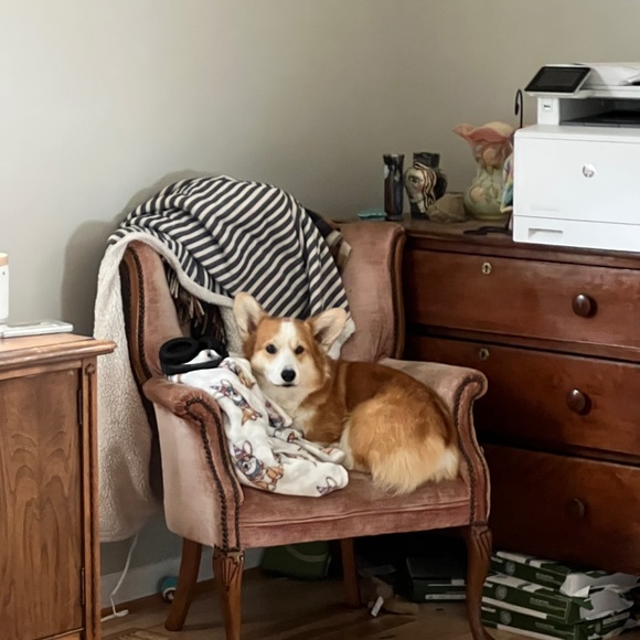 Meet your Posher, Carrie - Picture 1 of 3